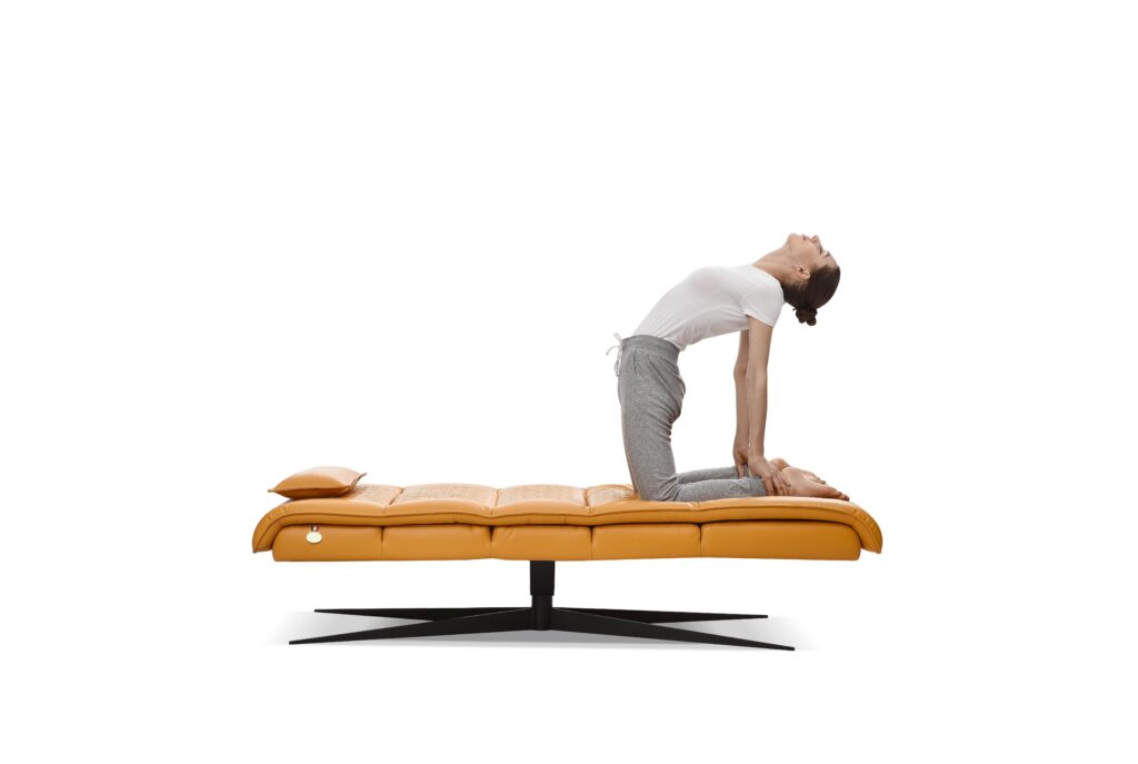 C020 Smart Lounge Chair – Intelligent Recliner for Relaxation and Comfort